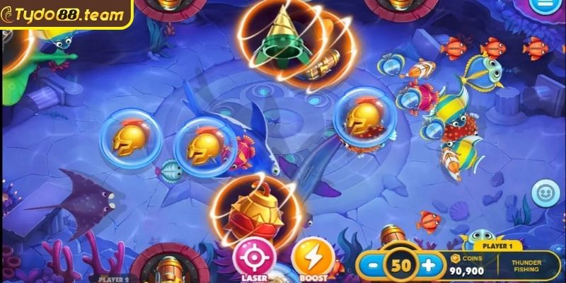 Không quá tập trung vào cá lớn