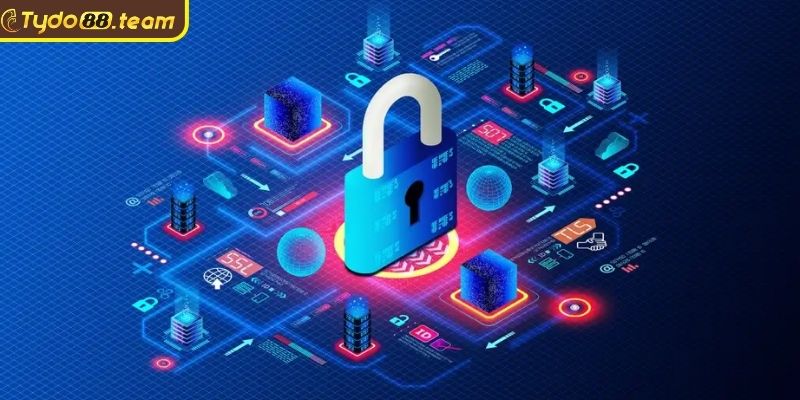 Chính Sách Bảo Mật Tydo88 An Toàn Tuyệt Đối Cho Hội Viên 3 Xử lý khi vi phạm chính sách bảo mật Tydo88