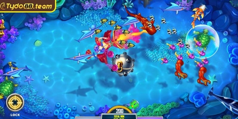 Sử dụng tính năng và quay theo chu kỳ