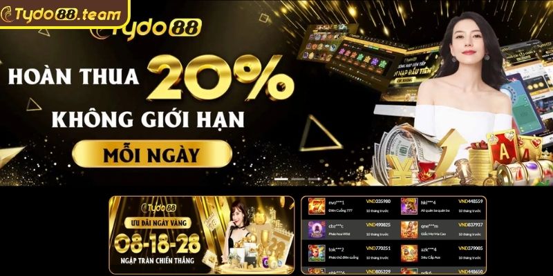 Giới thiệu Tydo88 - Nền tảng an toàn và minh bạch
