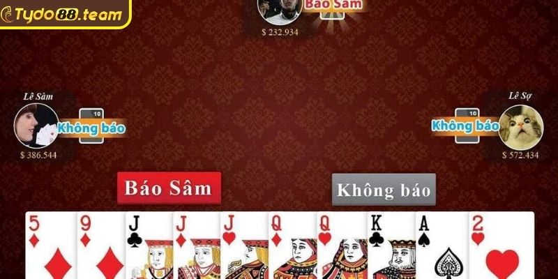 Các thuật ngữ phổ biến trong Sâm Tydo88