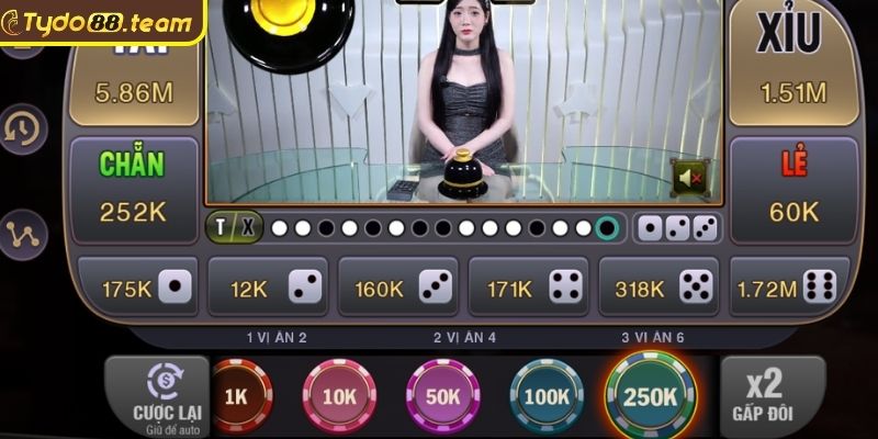 Các cửa cược phổ biến